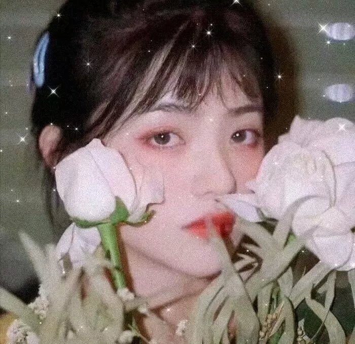 花予野兽 第二季